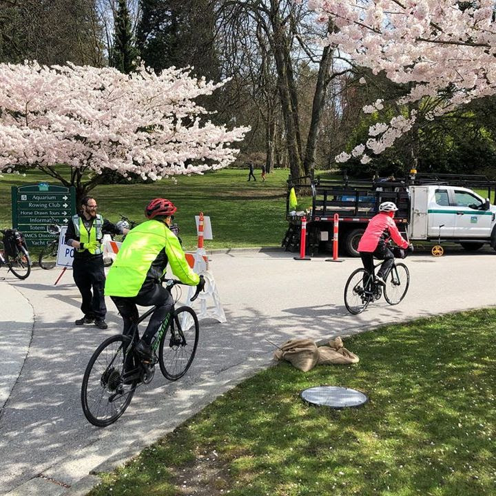 Vancouver Real Estate Pam Allen - Vancouver Real Estate