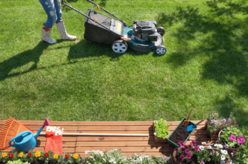 yard maintenance pam allen real estate