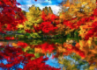 Pam Allen Real Estate RE/MAX